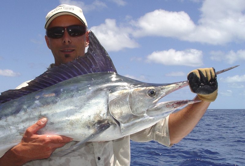Breaksea Black Marlin Madness & 17kg Red – Nov 2012 - Wicked Fishing